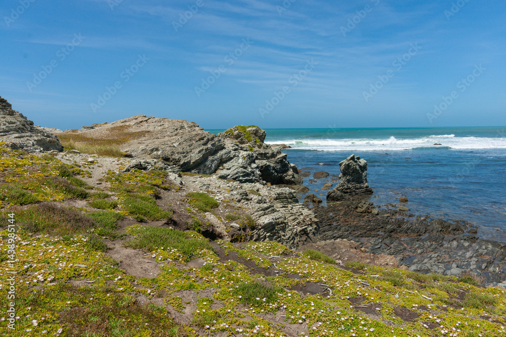 Rocky Wairararpa coast