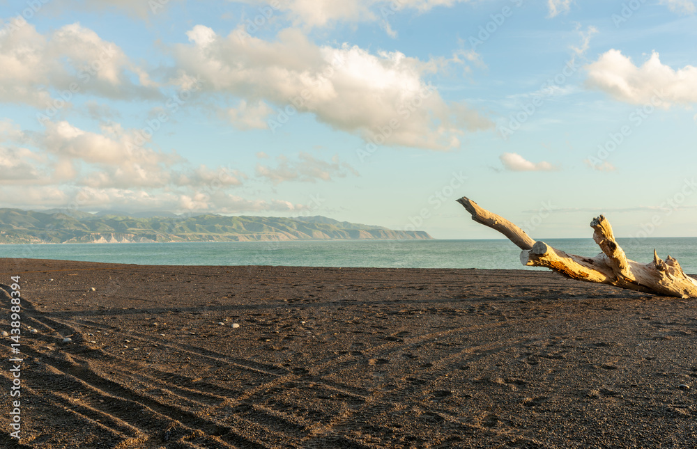 Coastal scene black iron sand beach with driftwood and distant view to hills and horizon