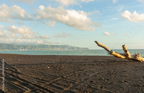 Obraz na płótnie Coastal scene black iron sand beach with driftwood and distant view to hills and horizon w salonie