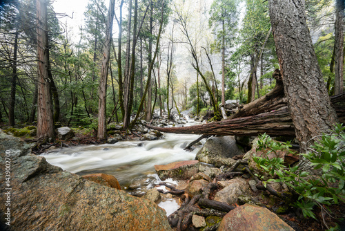 Yosemite National Park Spring of 2025 Bridalveil Fall, El Capitan, Cathedral Rocks and Spires 