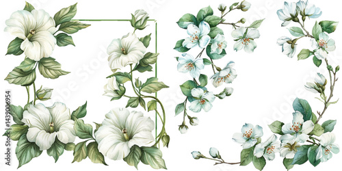 white flowers frame border watercolor vector illustration