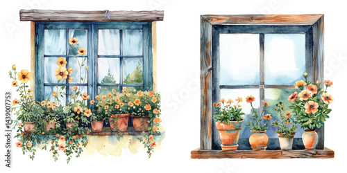 window flowers watercolor vector illustration