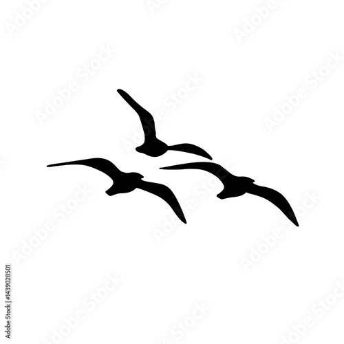 Seagull silhouette icon