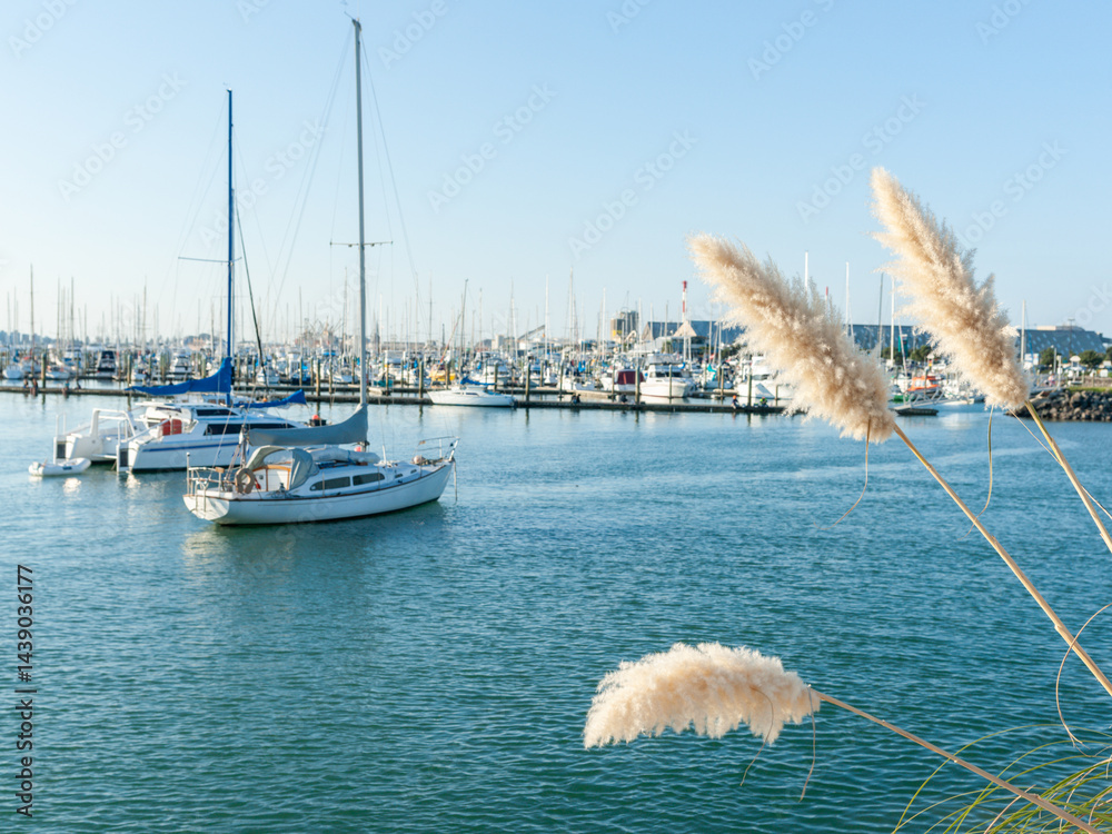 Focus on flower of pampas grass on edge of harbour with defocused background harbour scene