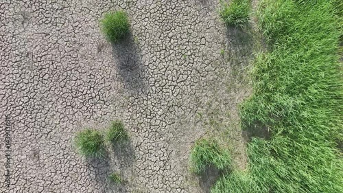 footprint on grass