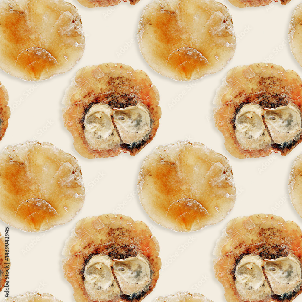 Minimal style seamless pattern of Anomia seashell, translucent bivalve, oceanic aesthetic top view beige background, marine life nature design, Summer vibes nature, beige yellow tones, nautical
