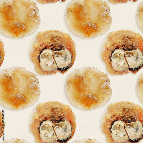 Obraz na płótnie Minimal style seamless pattern of Anomia seashell, translucent bivalve, oceanic aesthetic top view beige background, marine life nature design, Summer vibes nature, beige yellow tones, nautical w salonie