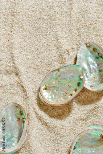 Obraz na płótnie Aesthetic minimal summer sea holiday concept, shiny pearlescent seashells on fine sand. Top view colorful abalone shells on sandy textured background, sea, blue green beige earthy tones, copy space w salonie