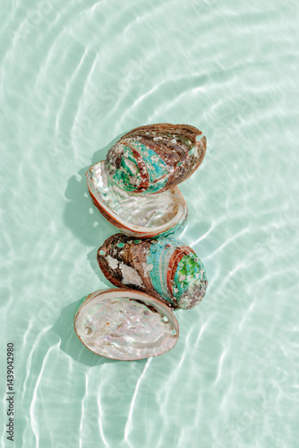 Obraz na płótnie Colored closeup shells floating on waves green blue sea water at sunlight. Beauty nature textured Seashells, marine life, nautical style, Minimal summer aesthetic, beach lifestyle, pastel color w salonie