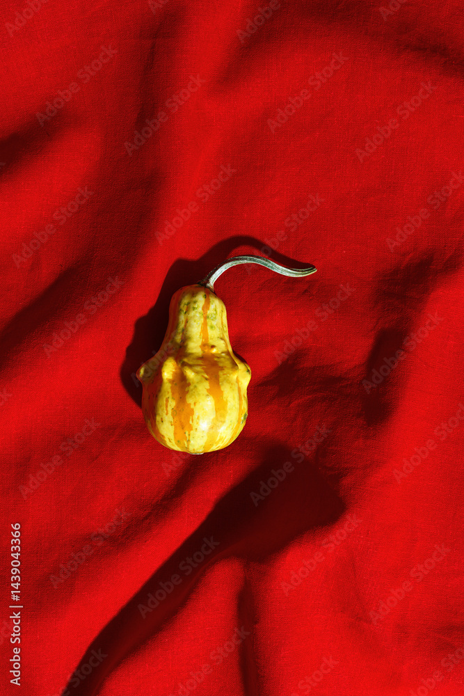 One Pumpkin or gourd of ugly shapes, top view on red textile tablecloth. Autumn flat lay composition with ornamental pumpkin yellow colored, minimal style, sunlight trend shadow, still life
