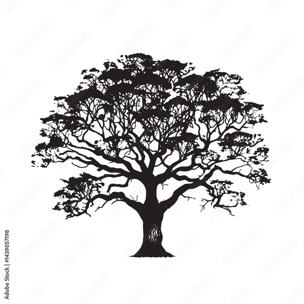 Obraz premium Tropical Cinchona Tree Silhouette Vector Isolated