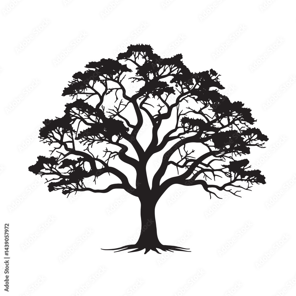 Fototapeta premium Natural Cinchona Tree Silhouette Isolated Art