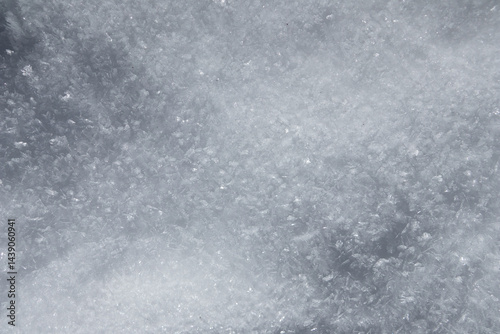 雪のアップ