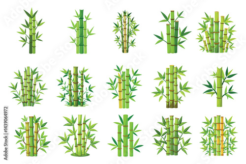 Diverse collection of vector bamboo plants with various shapes and sizes