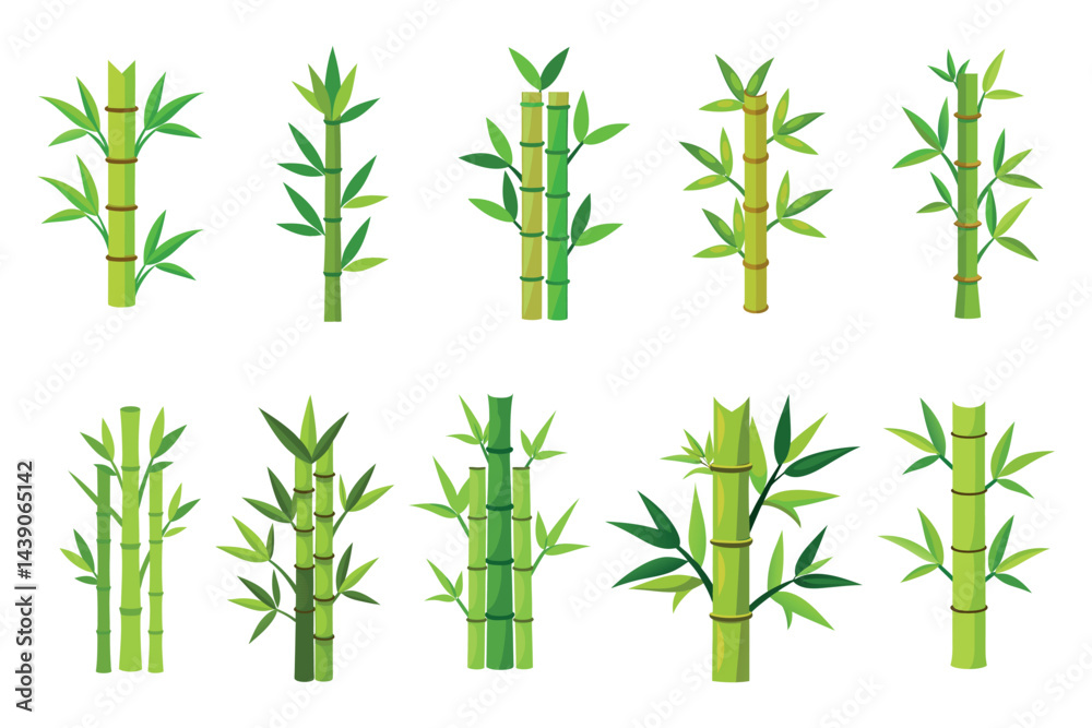 Fototapeta premium Ten Green Bamboo Stalks with Lush Green Leaves in Vector Format
