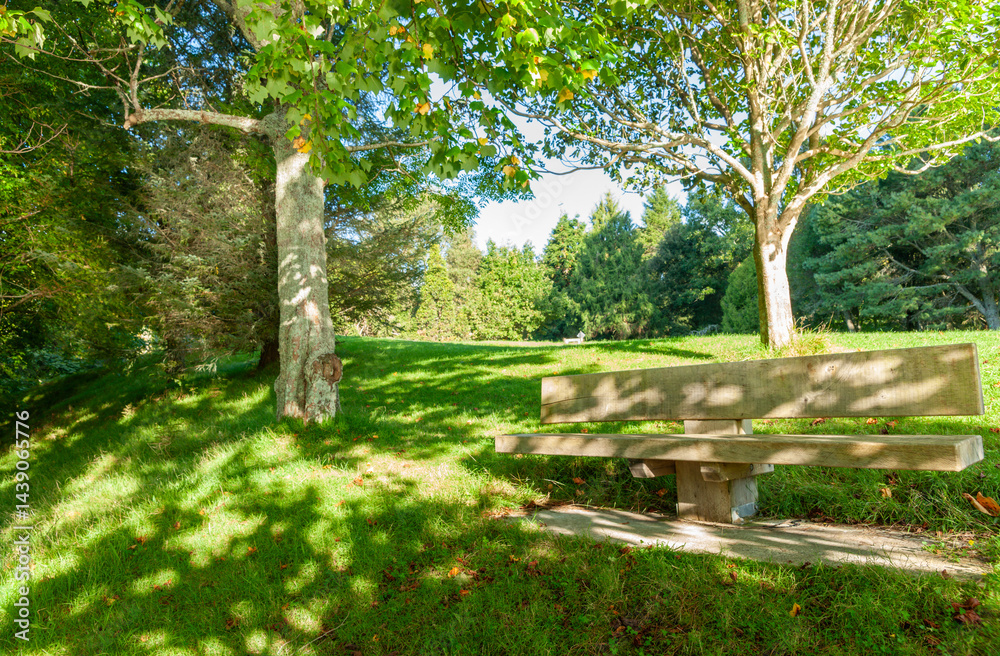 Bench seat in luxuriant McLaern Falls Park