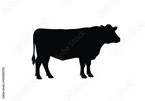 Beef Cow Silhouette. This image shows a black silhouette of a beef cow, also referred to as cattle or bovine, standing in profile view. Vector clipart illustration design.