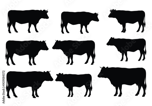 Cattle Silhouette. This image shows a black silhouette of cattle, also referred to as livestock or bovines, standing in profile view. Vector clipart illustration design.