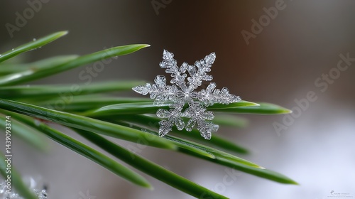 Detailed Snowflake on Evergreen Needle Macro Winter Nature Shot
