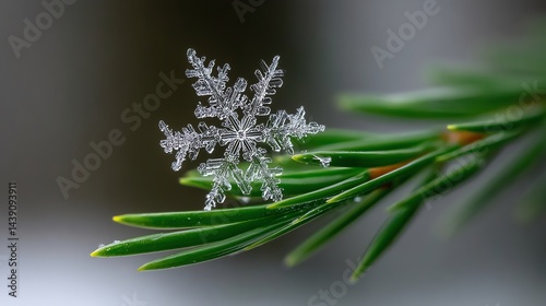 Close-up of a Delicate Snowflake on a Green Evergreen Needle