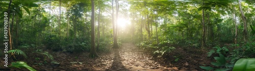 Exploring a lush forest scene tropical paradise 360 degree hdr hdri viewpoint