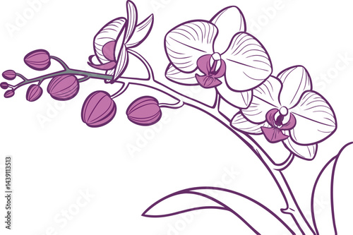 Stunning Orchid Flower Vector Art Designs for Creative Projects