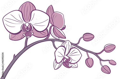 Stunning Orchid Flower Vector Art Designs for Creative Projects