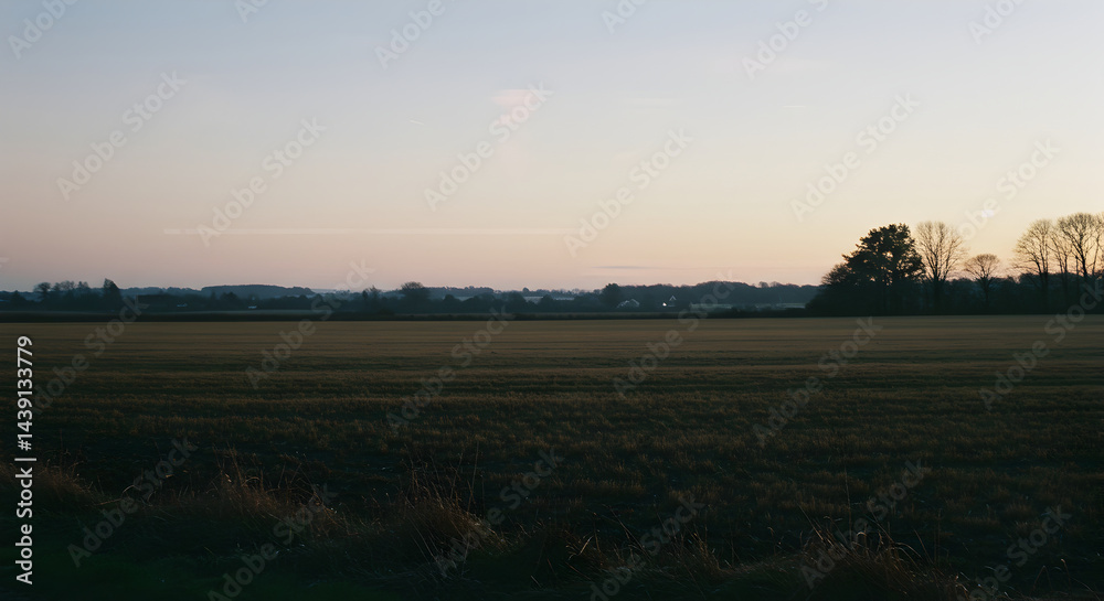 Quiet Meadow At Dusk With A Peaceful And Serene Atmosphere Quiet Meadow At Dusk With A Peaceful And Serene Atmosphere