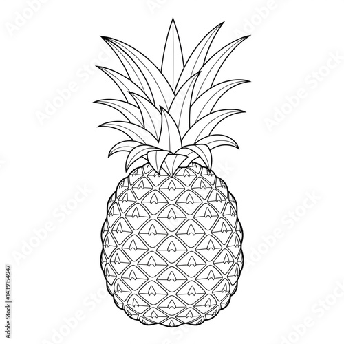 pineapple vector illustration