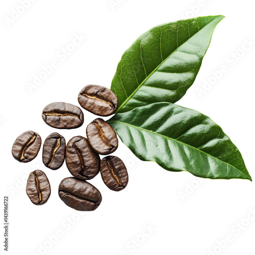 Dark roasted coffee beans with fresh leaves arranged on a bright transparent background for an elegant coffeethemed display, dark roasted coffee and ripe coffee with leaf on transparent background photo
