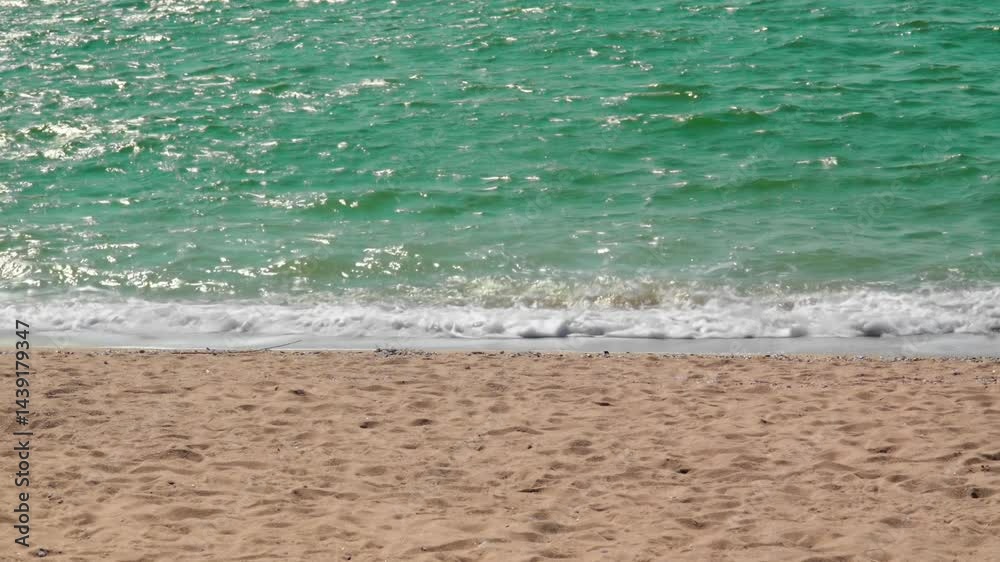 waves on the beach in summer