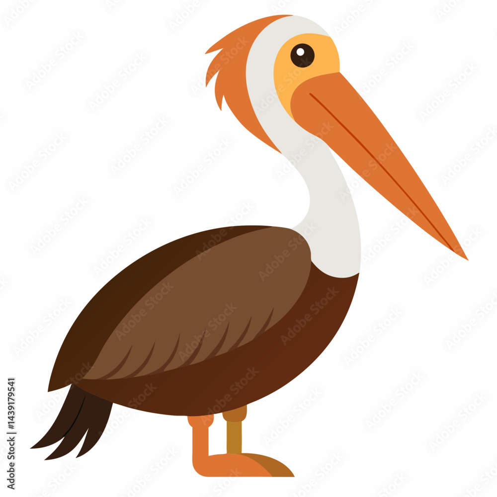 Fototapeta premium brown-pelican-