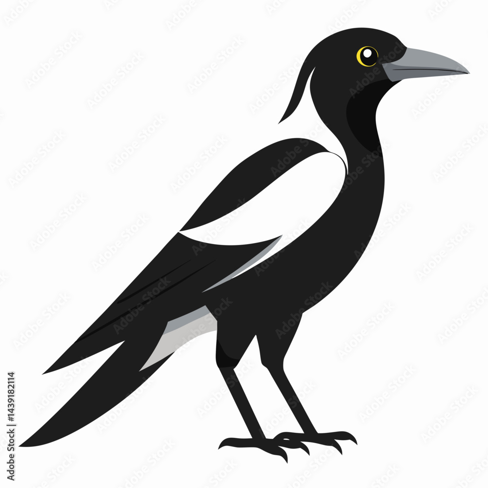Fototapeta premium silhouette of a bird