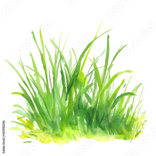 Abstract green grass explosion image