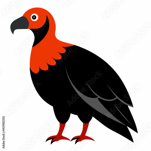bird of prey