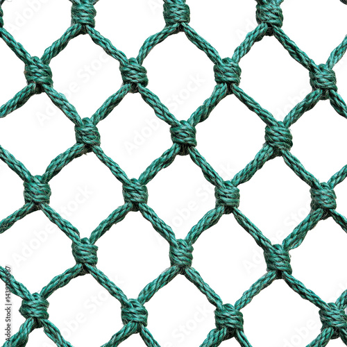 Garden netting isolated on transparent background.