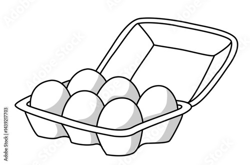 Fresh Eggs In Carton Organic Healthy Breakfast Daily Nutrition