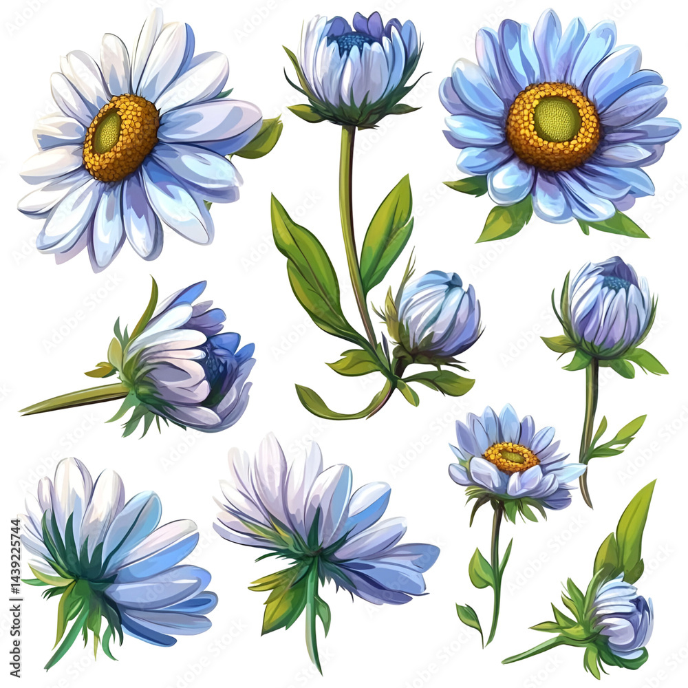 Fototapeta premium Light blue and white flowers pattern design