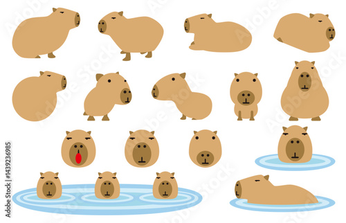 カピバラのイラスト。動物園にいるカピバラ。ネズミの仲間。世界で一番大きいネズミ。ポップでかわいい。泳ぎが得意な生き物。草食の動物。素材のセット。
