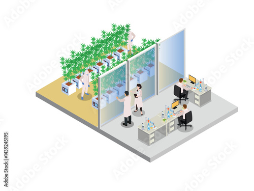 cannabis or hemp research laboratory with scientists in lab coats examining and cultivating plants in a controlled environment