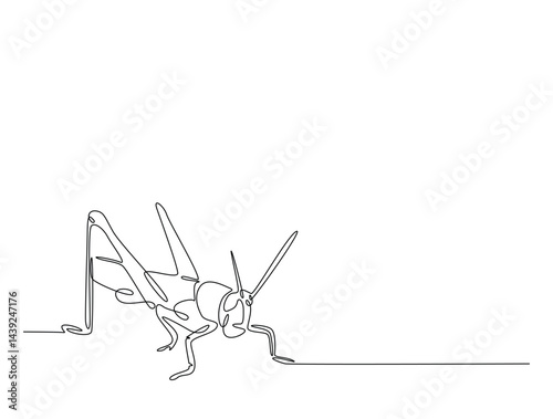 Continuous one line drawing of grasshopper - locust. Grasshopper outline illustration. Editable vector.