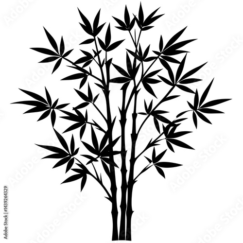 bamboo and leaves  silhouette on white background
