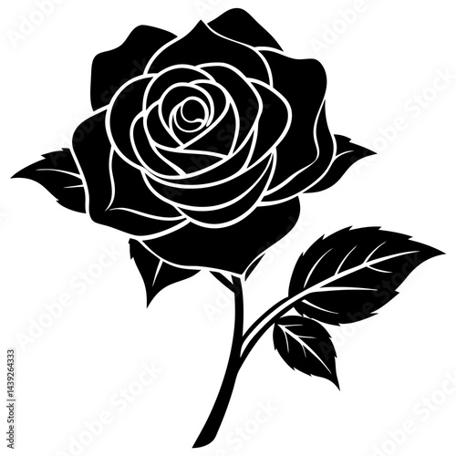 rose vector illustration  silhouette on white background