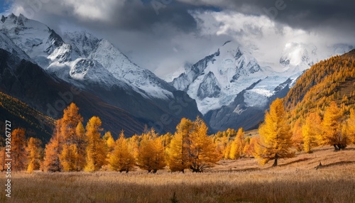 Snow-capped mountains rise above golden autumn trees under a dramatic, cloudy sky in this breathtaking landscape.