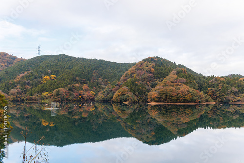 Obraz na płótnie 紅葉に彩られた美しい宮ヶ瀬湖。
湖面にはボートレースの練習用のブイなどが浮いている。
神奈川県清川村、早戸川林道-2025年
w salonie