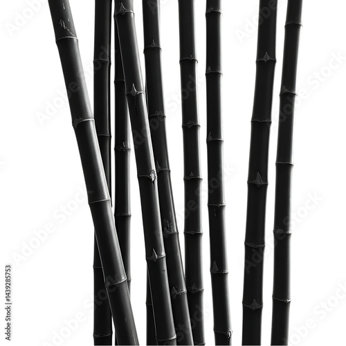 Stunning Black Bamboo Stock Photo: Perfect for Design Projects
