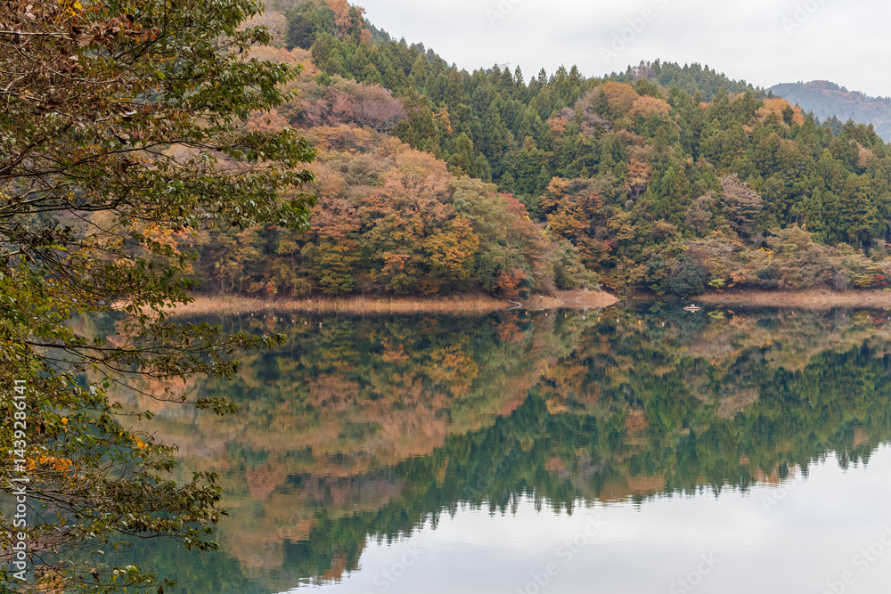 紅葉に彩られた美しい宮ヶ瀬湖。
神奈川県清川村、早戸川林道-2025年