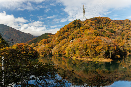 Obraz na płótnie 紅葉に彩られた美しい宮ヶ瀬湖。
神奈川県清川村、早戸川林道-2025年
w salonie
