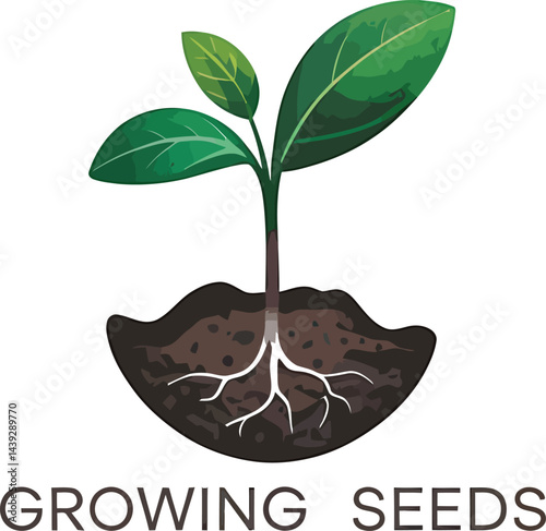Young plant growing from soil with visible roots and green leaves sprouting illustrating new beginnings