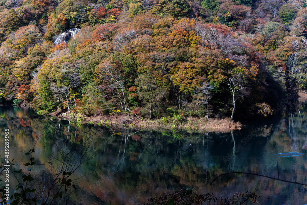 紅葉に彩られた美しい宮ヶ瀬湖。
神奈川県清川村、早戸川林道-2025年